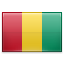 Guinea flag